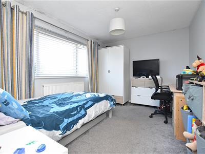 Picture 13